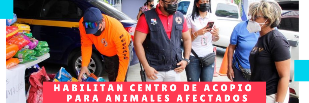 Habilitan centro de acopio para animales afectados - Guarderia perros - Hotel mama canino panama