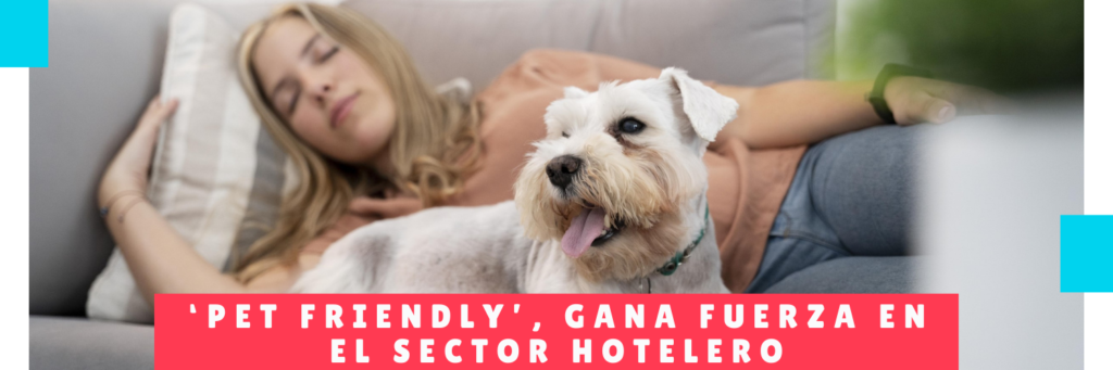 Pet friendly gana fuerza en el sector hotelero - hotel de perros panama