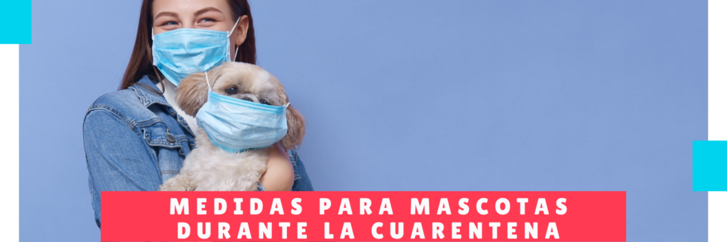 Measures for pets during quarantine - Panama Pet Care - Hotel Mama Canino