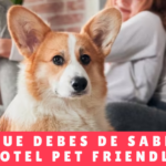 Cosas Que Debes De Saber De Un Hotel Pet Friendly - Guarderia de Perros Panama