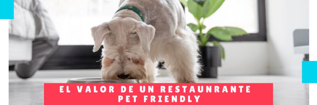 El Valor De Un Restaurante Pet Friendly - Mama Hotel De Perro Panama